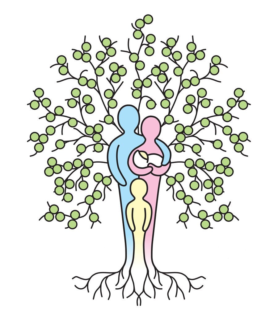 Генеалогическое Древо на прозрачном фоне