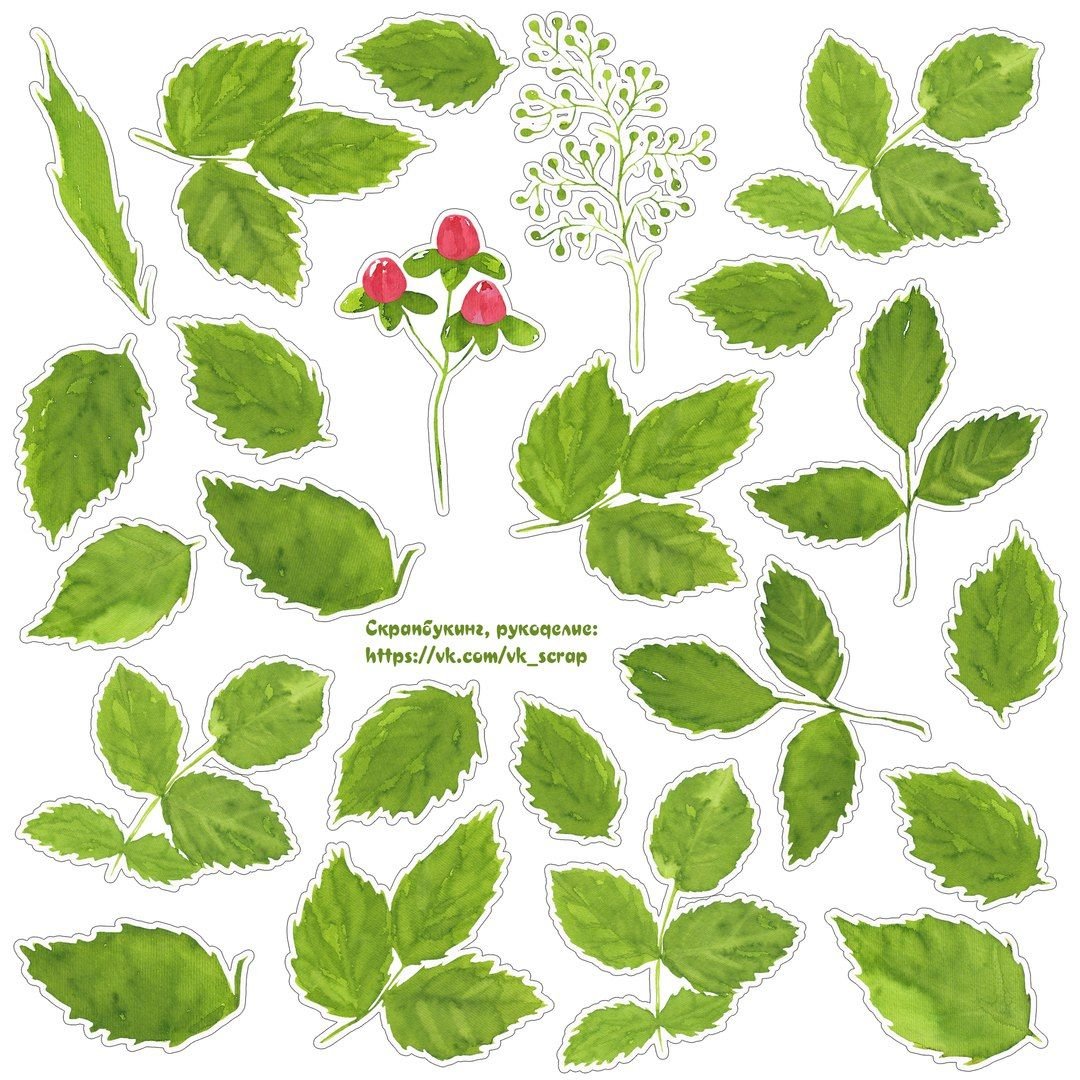 Лист розы малый 38мм зеленый 1000 шт/уп