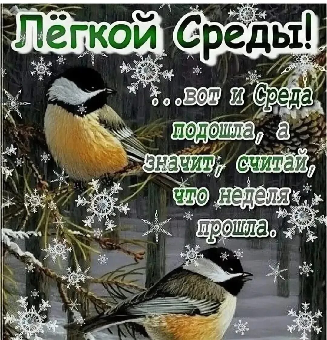 Ткрвика с зимней средой