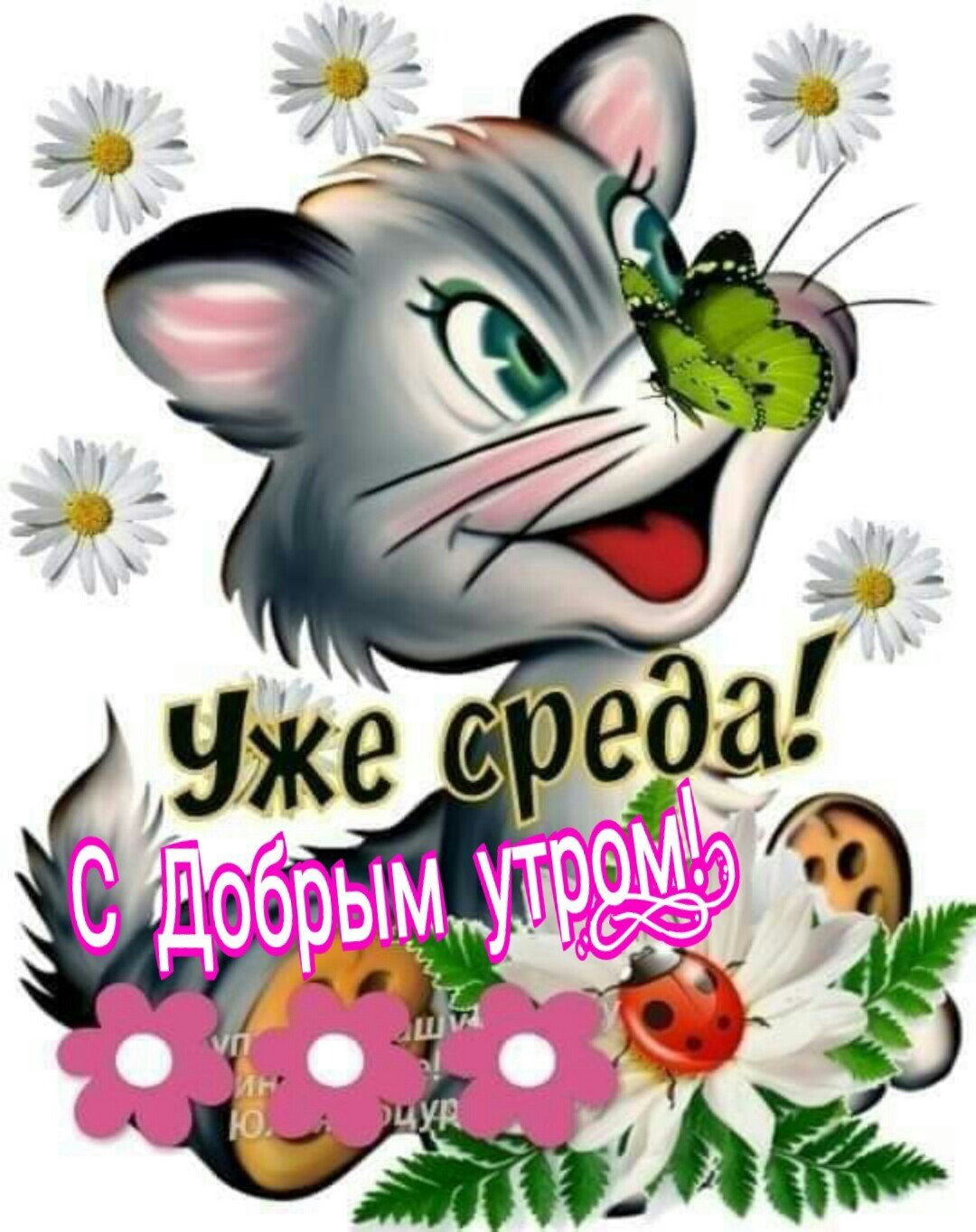 Поздравление со средой