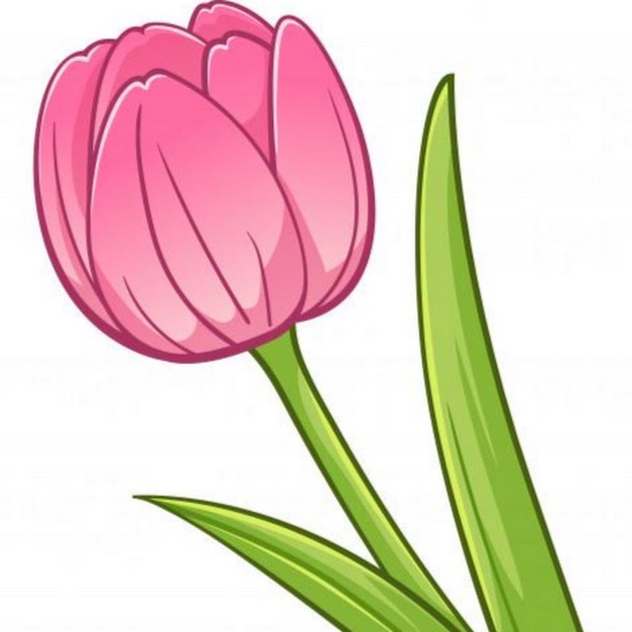 Тюльпан мульт