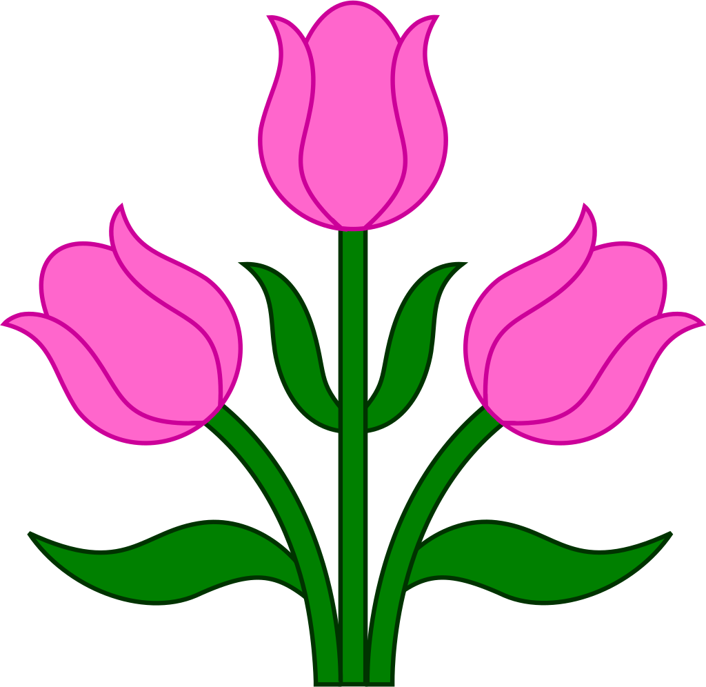 Тюльпаны мультик