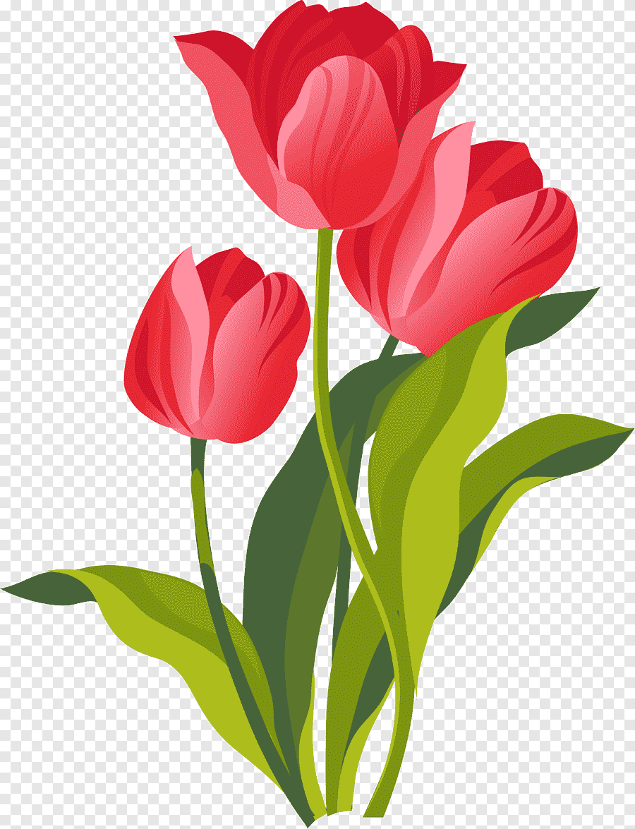 Тюльпаны мультяшные