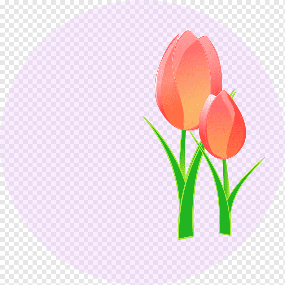 Тюльпаны для вырезания цветные