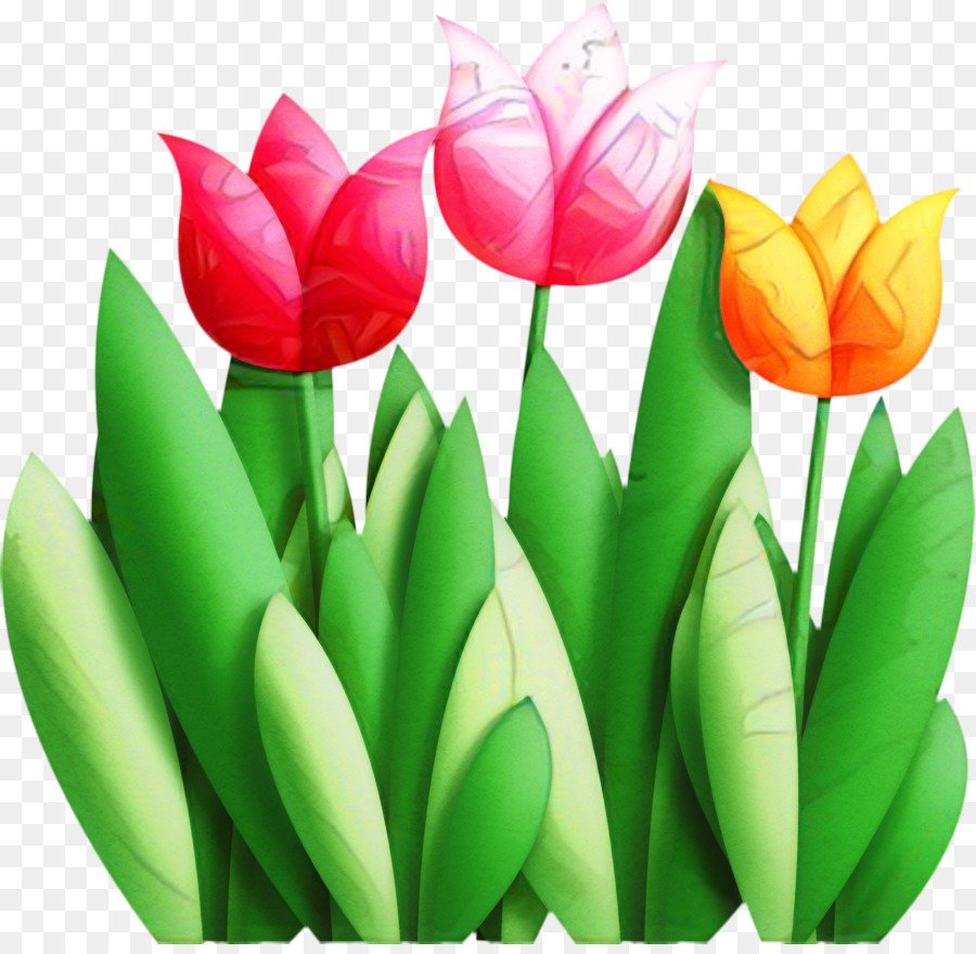 Тюльпаны цветные для детей