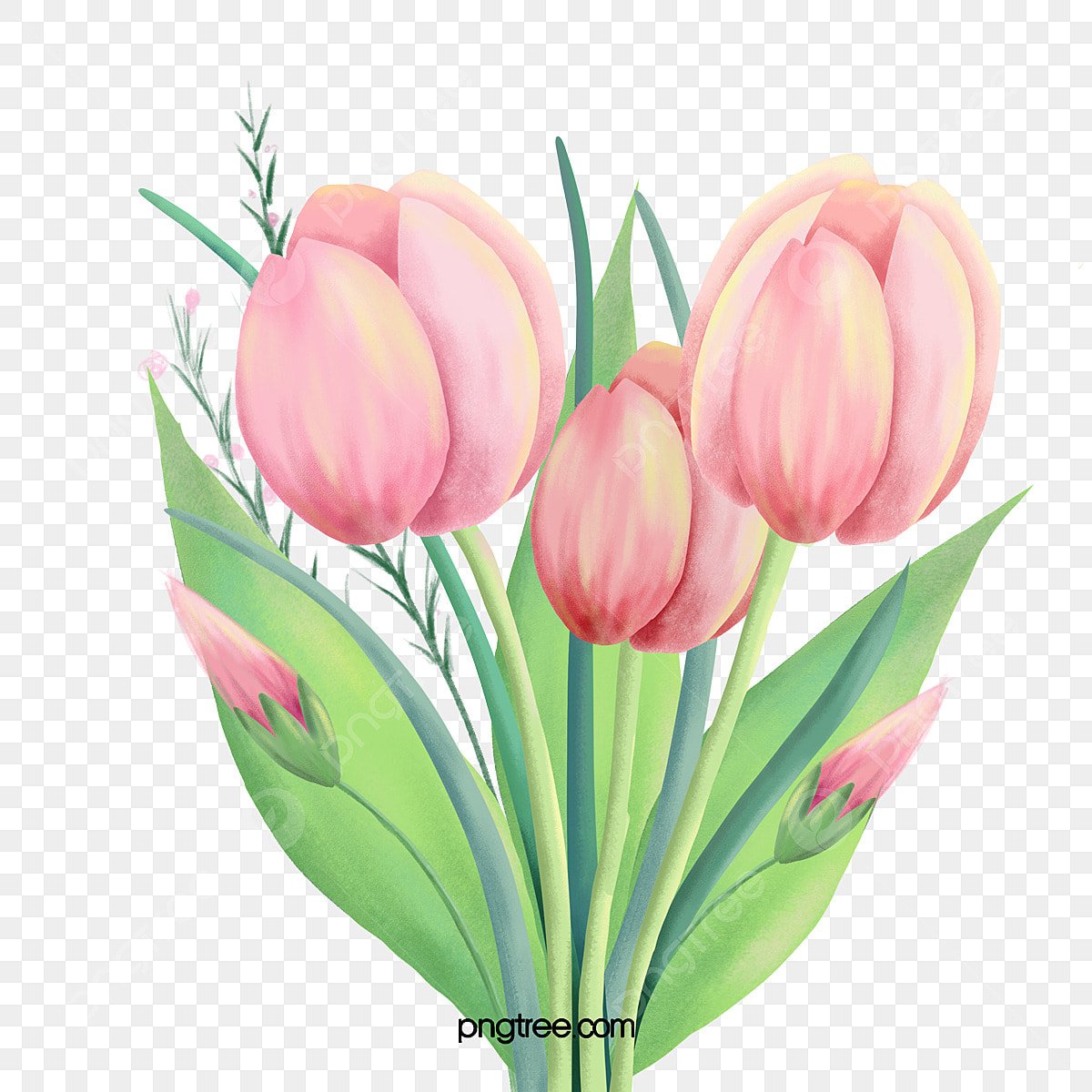 Тюльпаны дизайн вектор