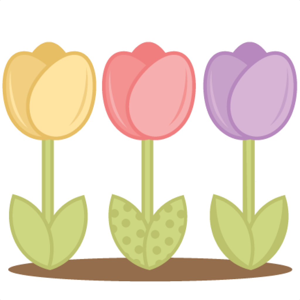 Букет разноцветных тюльпанов