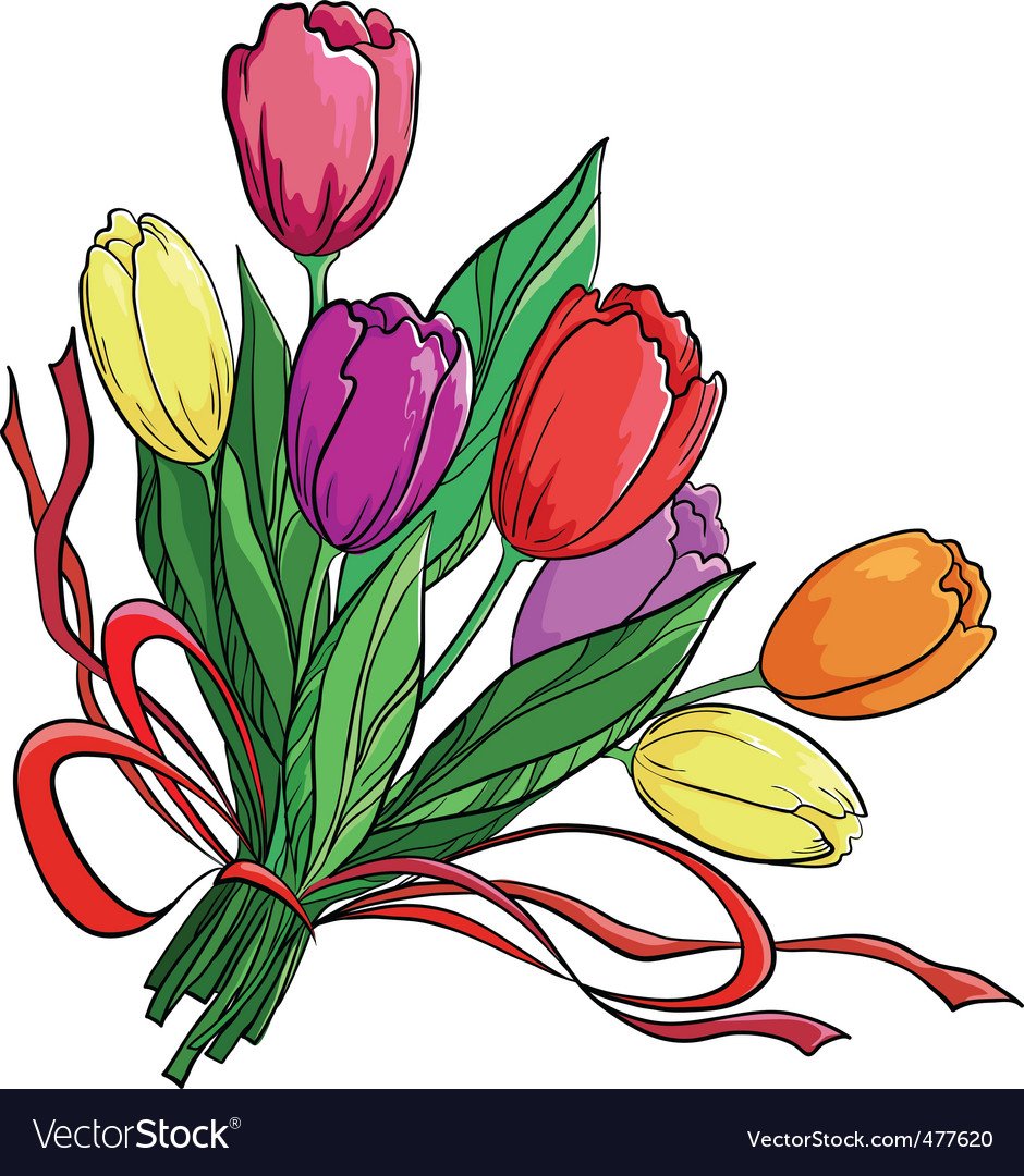 Тюльпаны вектор