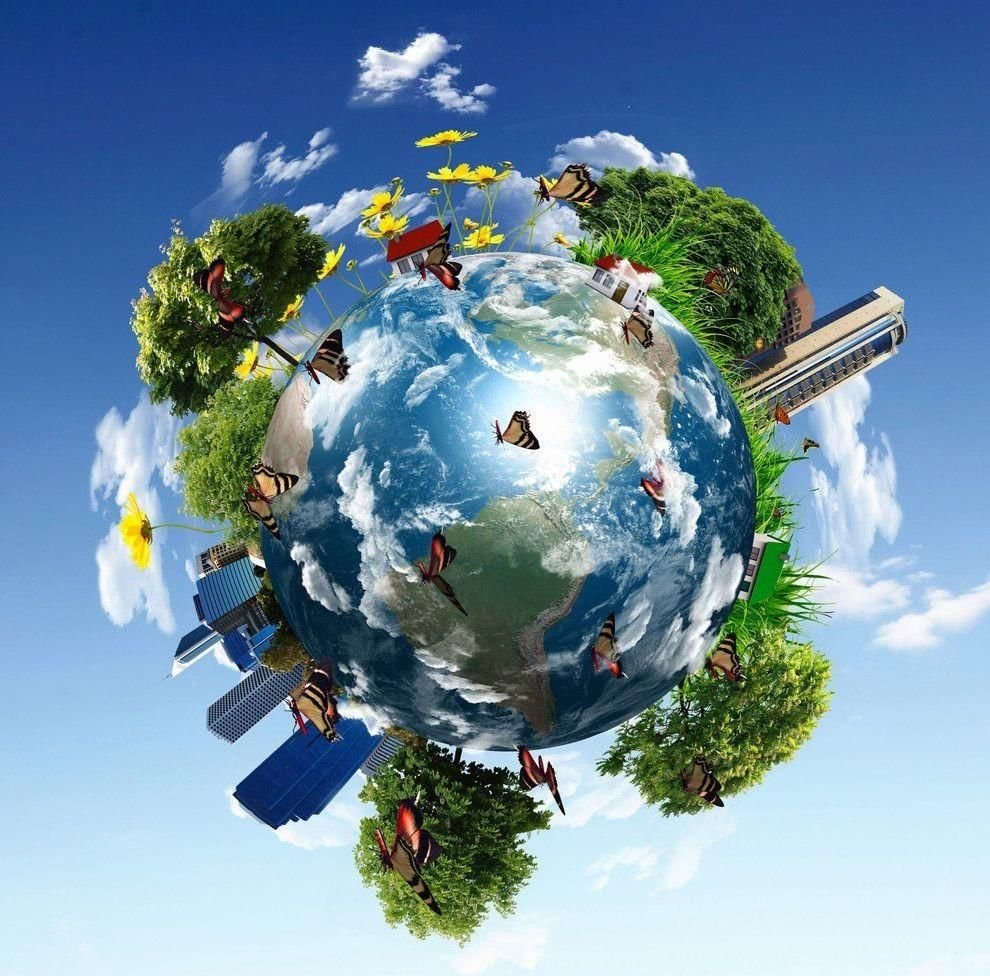 Путешествие вокруг земного шара