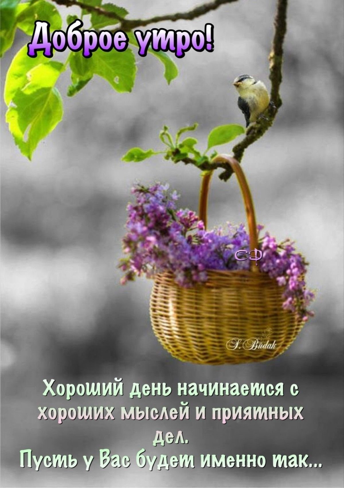 Доброе осеннее утро цитаты