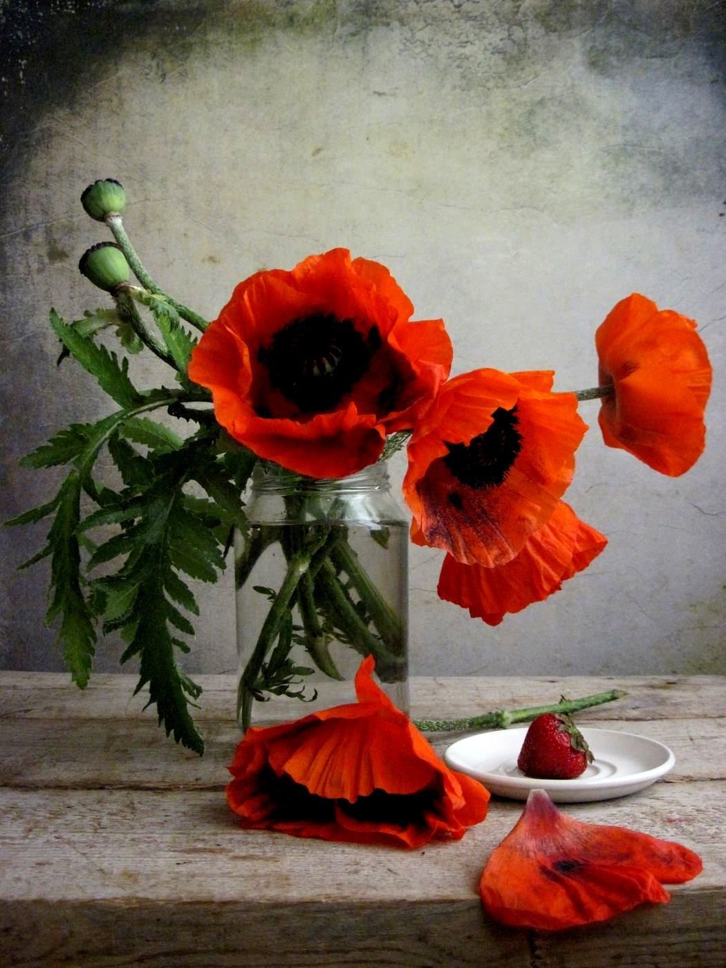 Маки натюрморт
