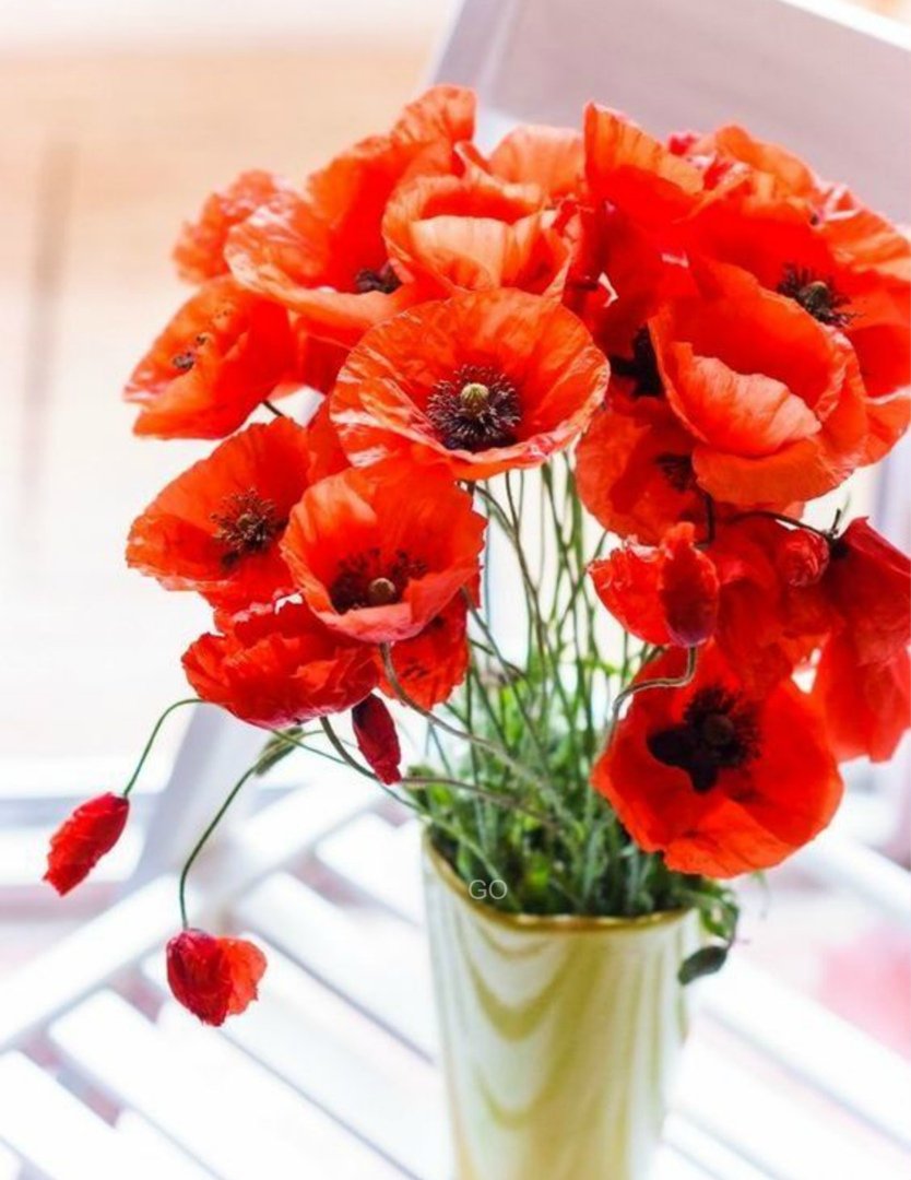 Красивый букет из маков