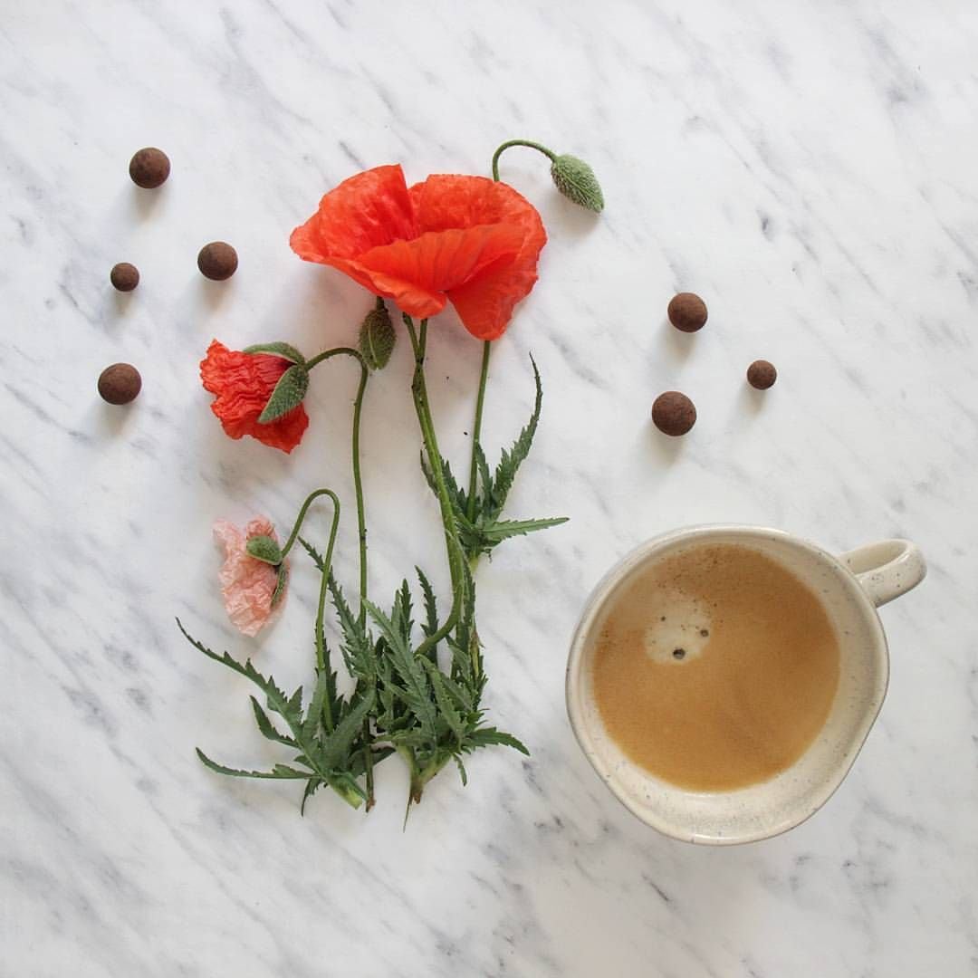 Кофе море цветы