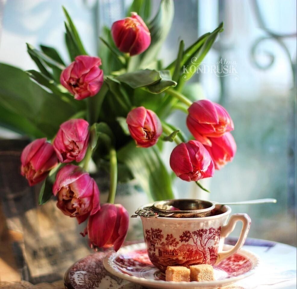 Доброе утро с маками и пожеланиями