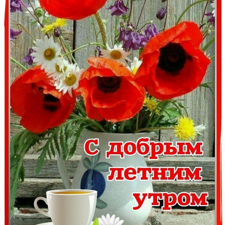 Поздравление с добрым летним утром