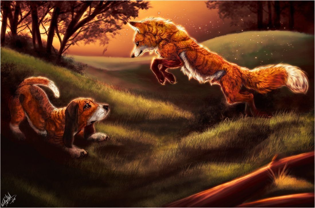 Обнимашки с тигром