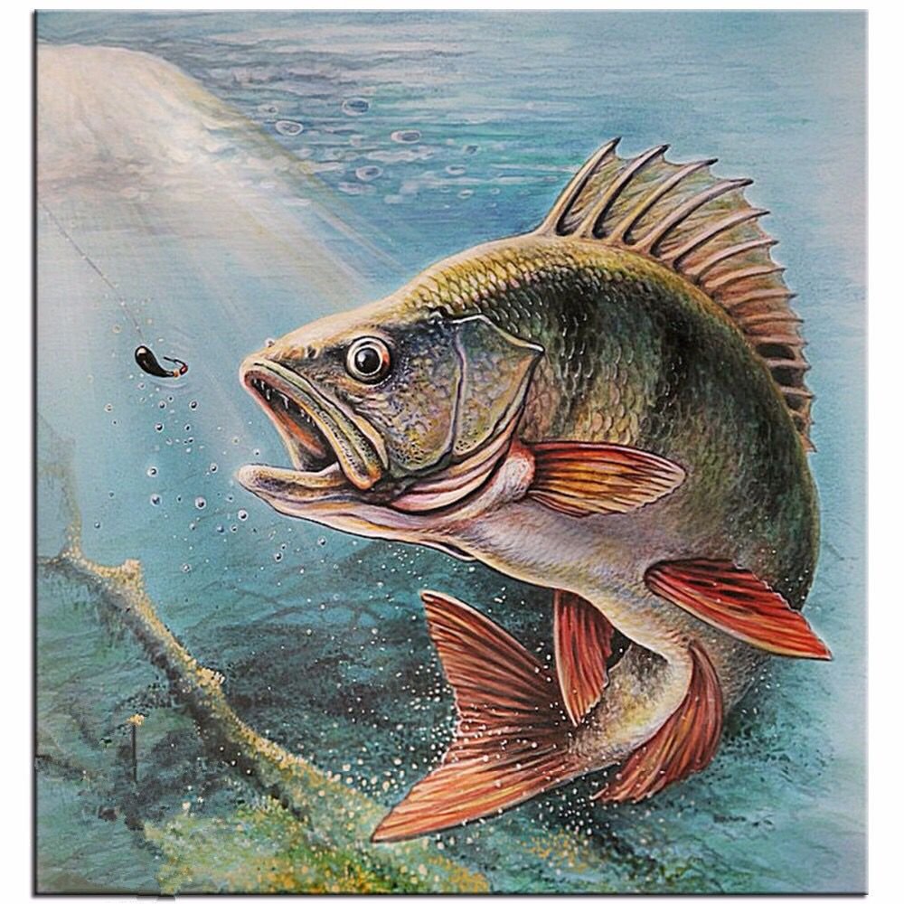 Окунь Речной 900гр