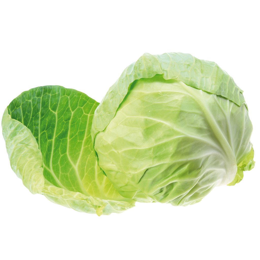 Капуста ранняя на белом фоне
