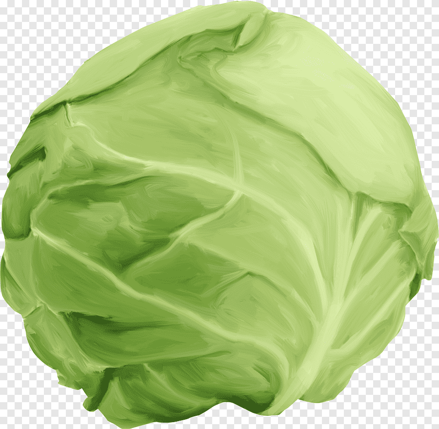 Кочан капусты на черном фоне