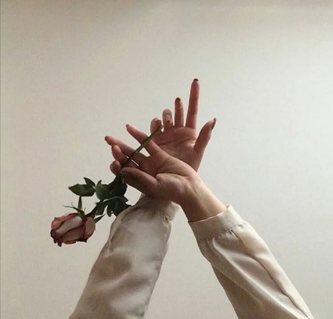 Цветы и руки Эстетика