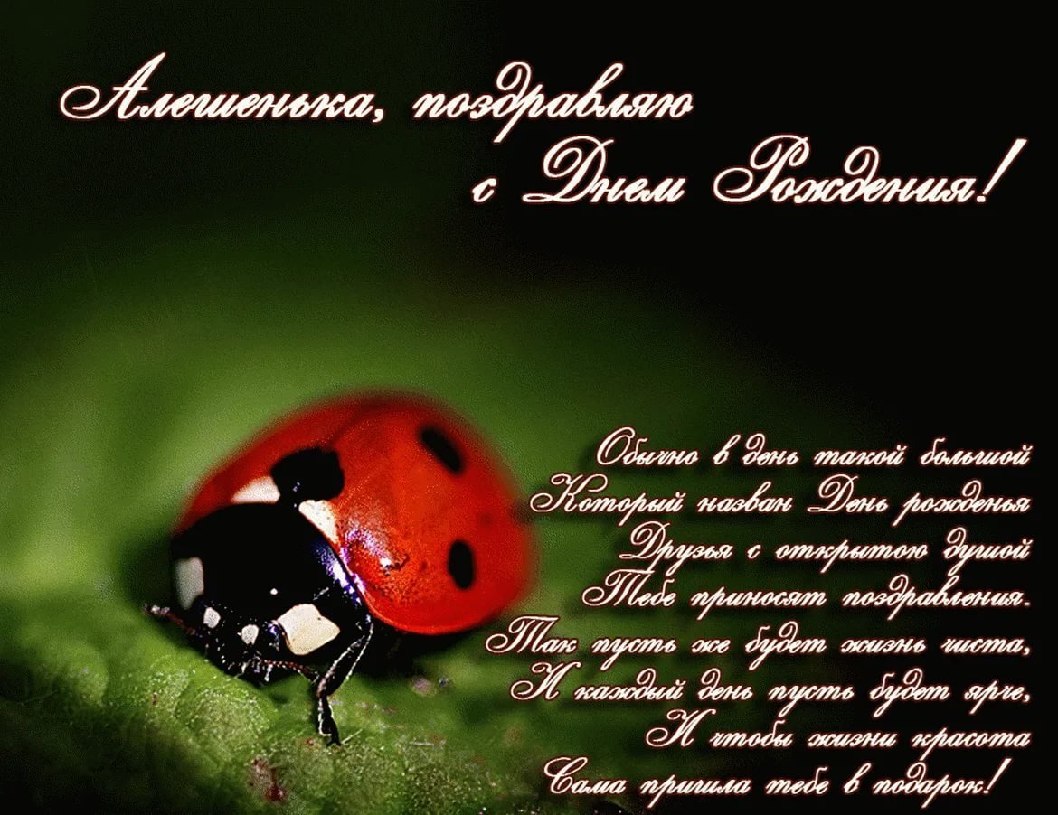 Прикольные поздравления с днем рождения