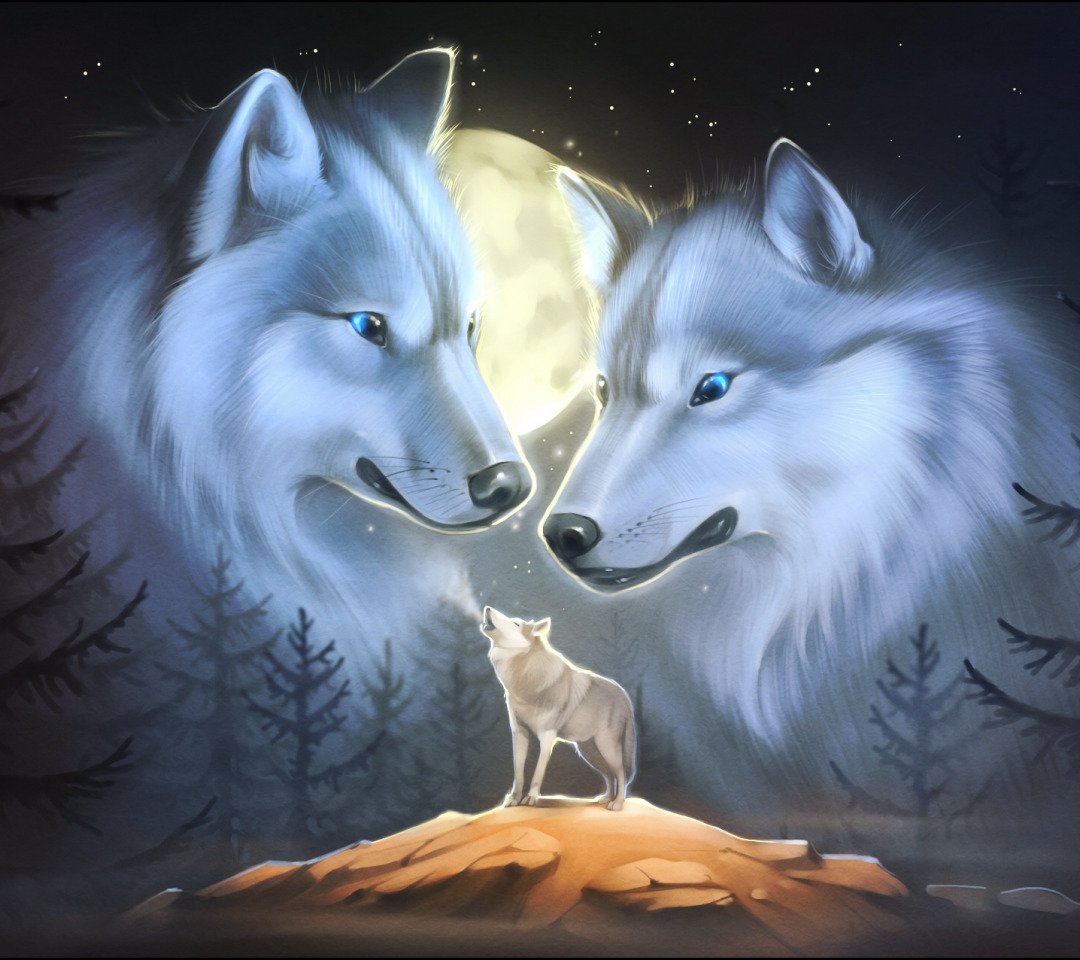 Волк и волчица ночью