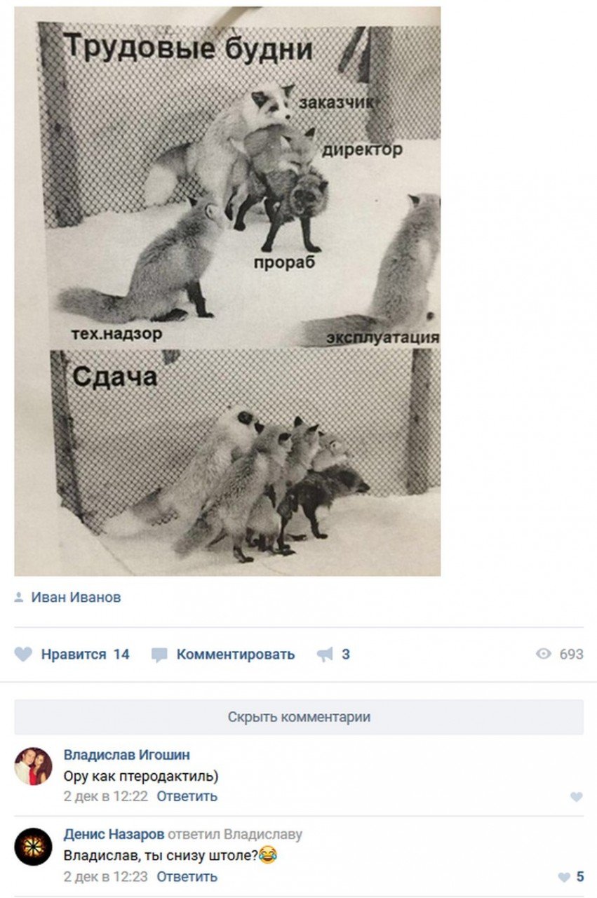 Сдача объекта прикол