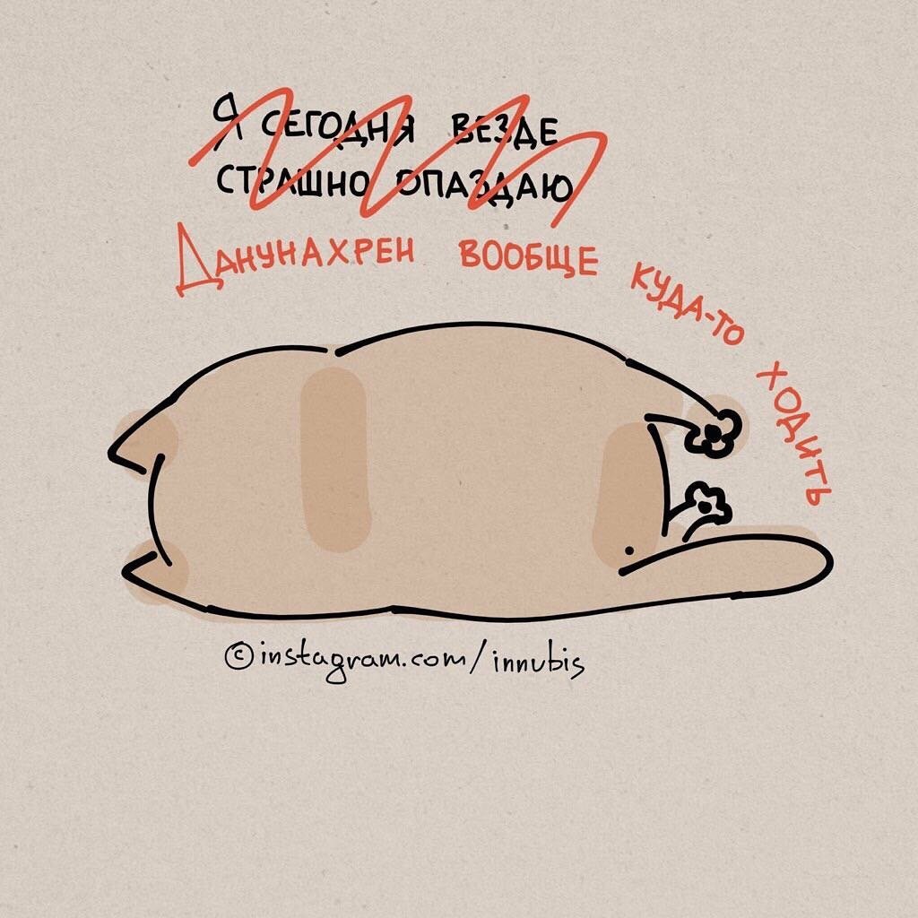 Милые картинки с Цитатами