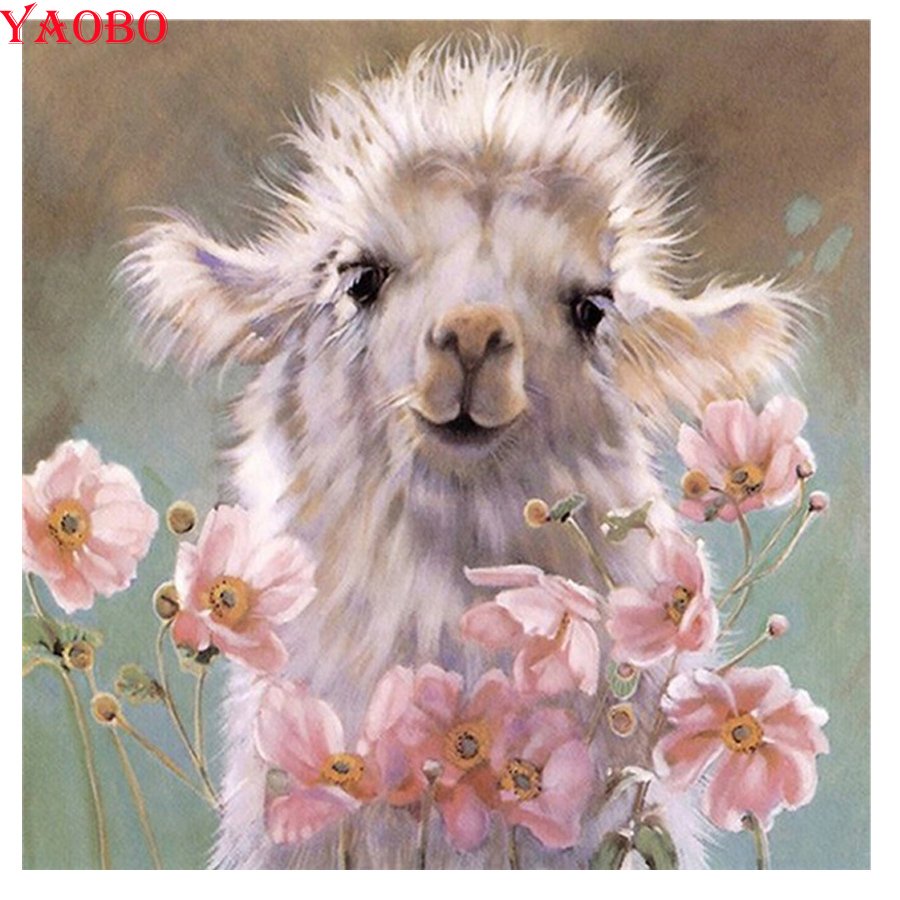 Нэнси Ноэль лама