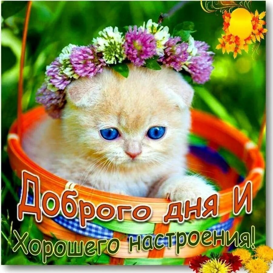 Доброе утро заяц