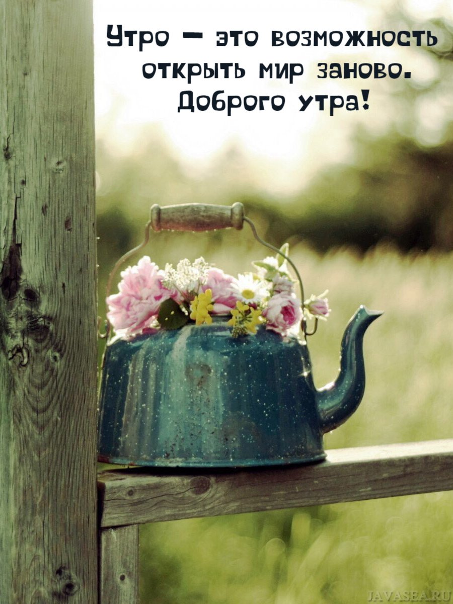 Цитаты со смыслом