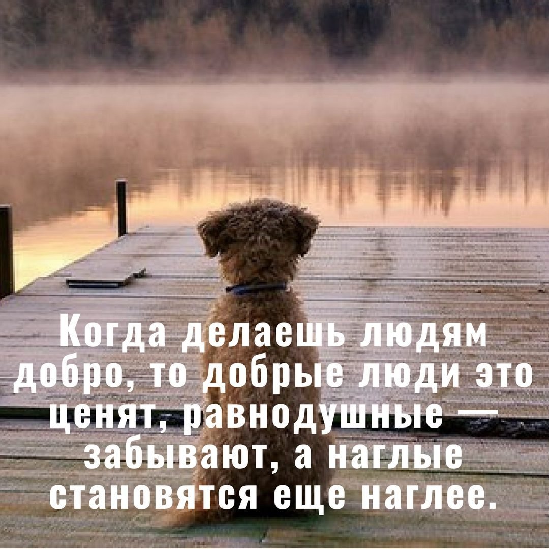 Хорошего дня цитаты