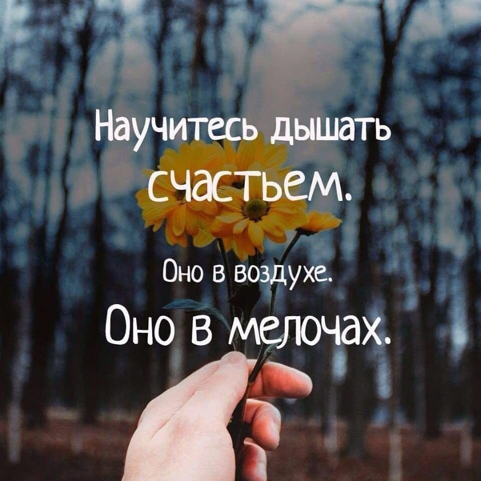 О смысле жизни