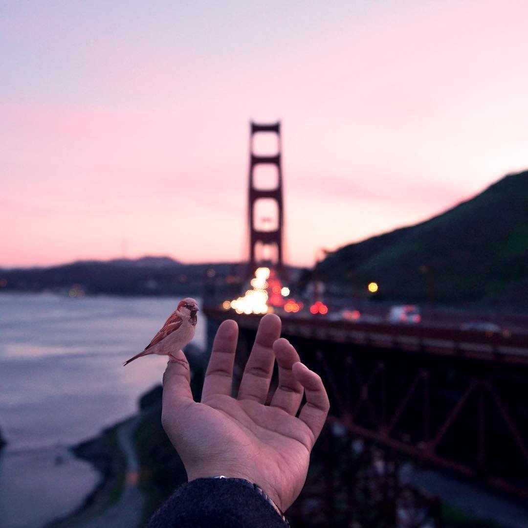 Для детей. Животные