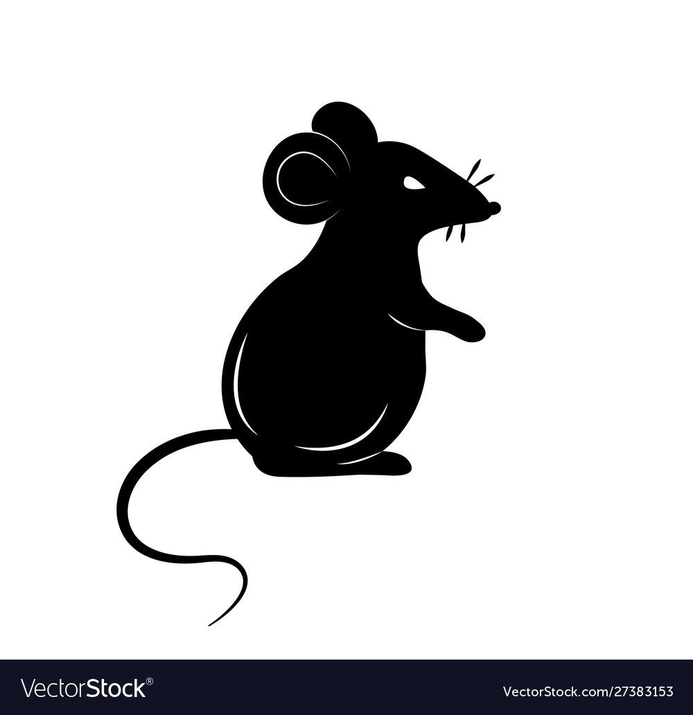 Белая крыса на черном фоне