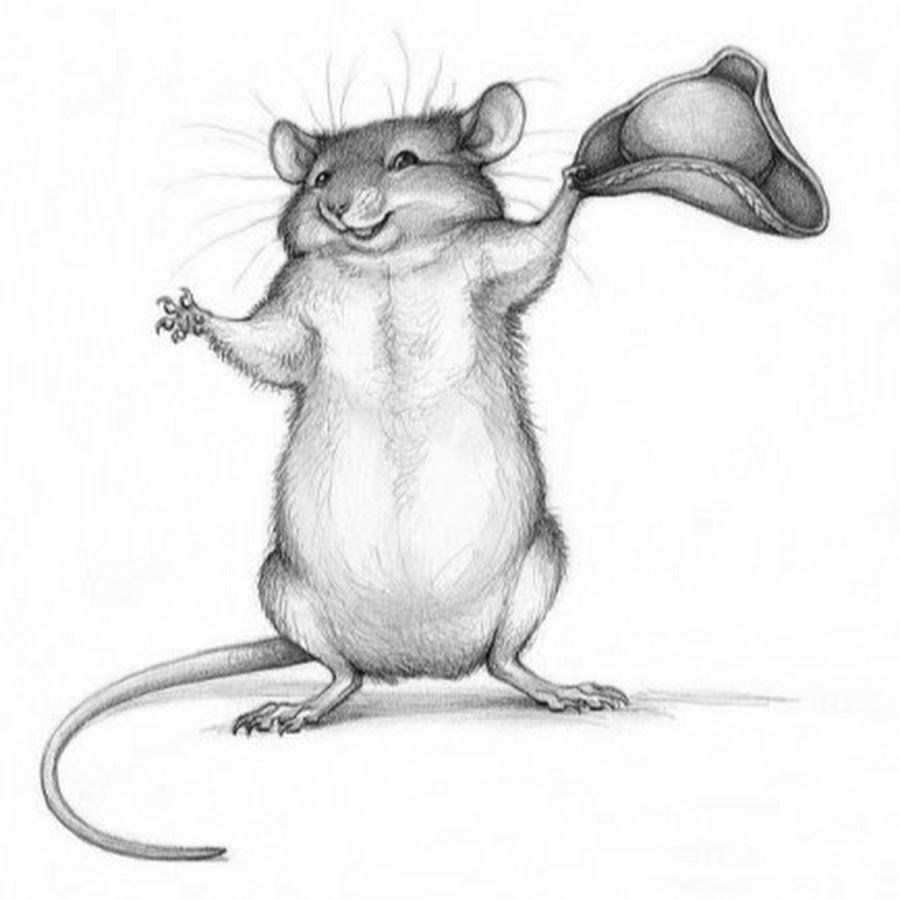 Крыса карандашом