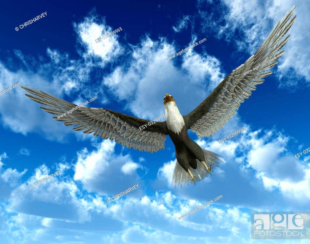 Орел в небе для Инстаграм