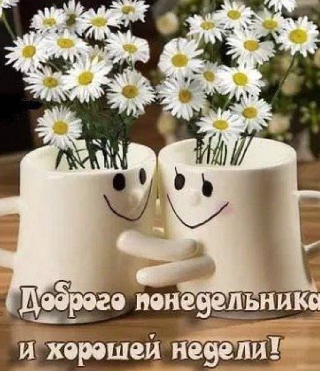 Отличного понедельника