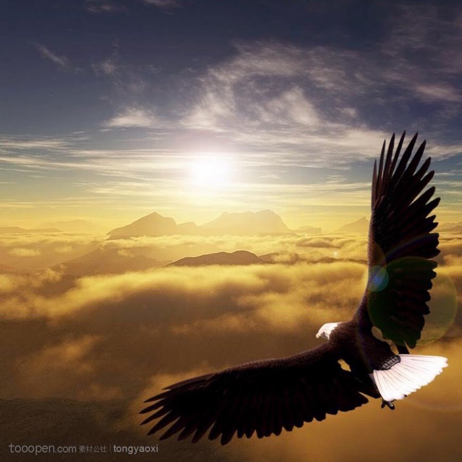 Парящий Орел