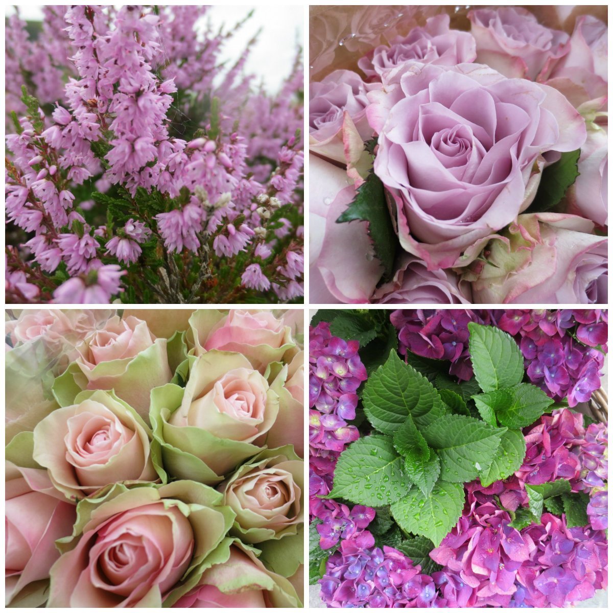 Риточка с днем рождения