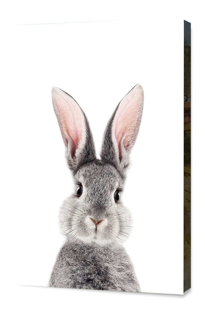 Кролик с жвачкой