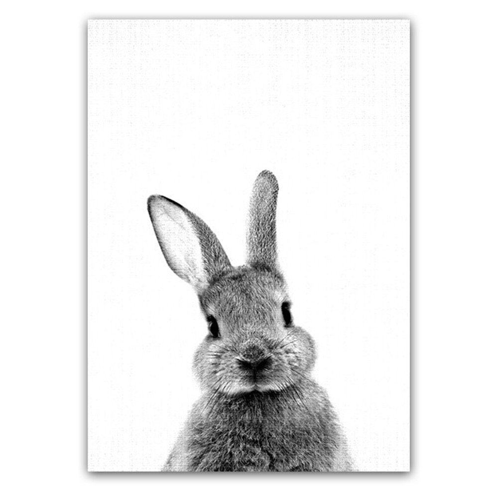 Акварельный заяц