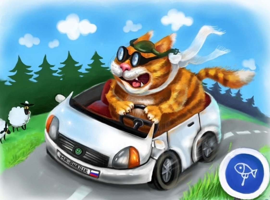 Кот Автомобилист