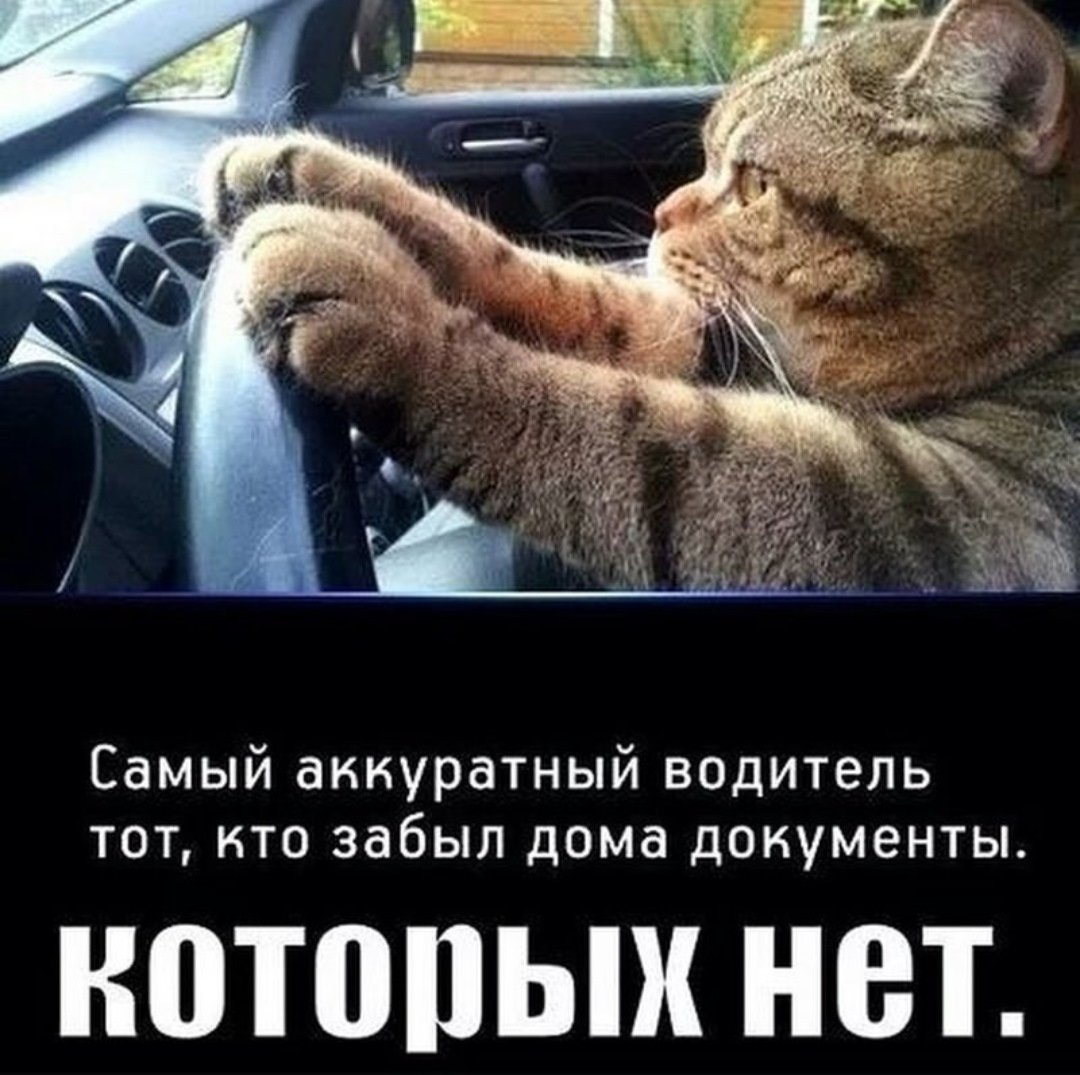 Приколы про водителей