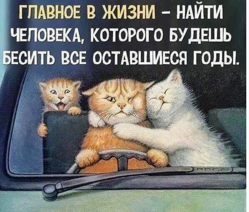 Картина кошки в автомобиле