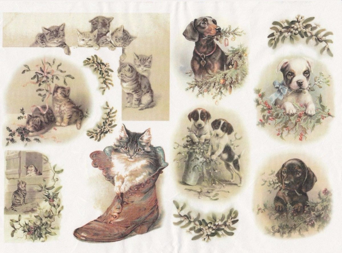 Винтажные изображения животных