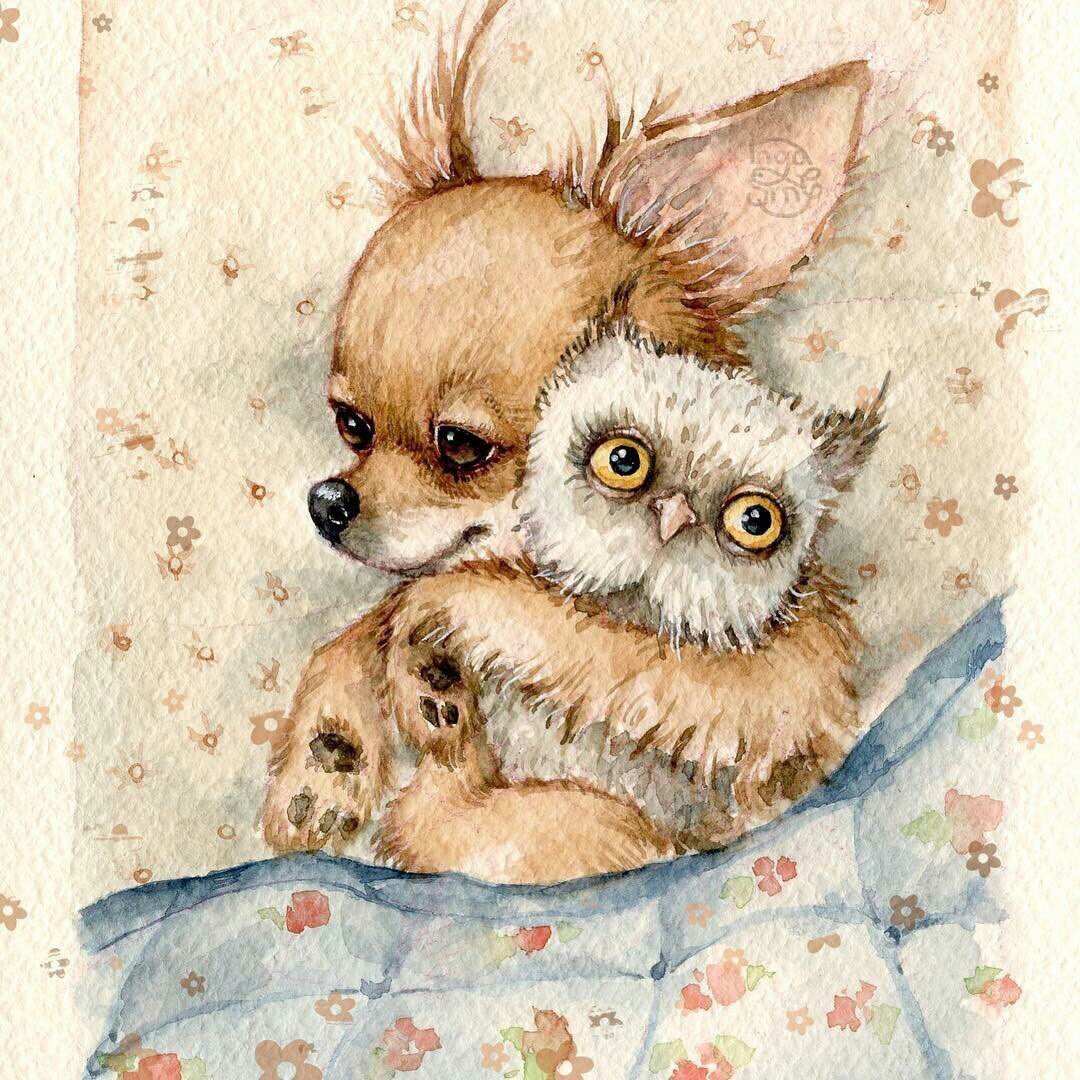 Иллюстрации Инги Измайловой 2020