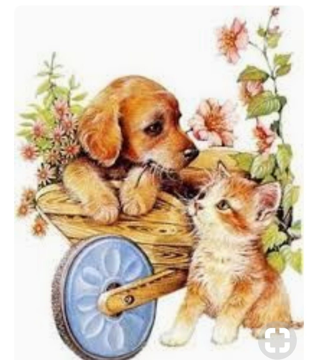 Открытки с животными