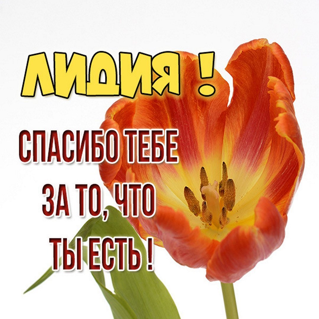 Антонина имя
