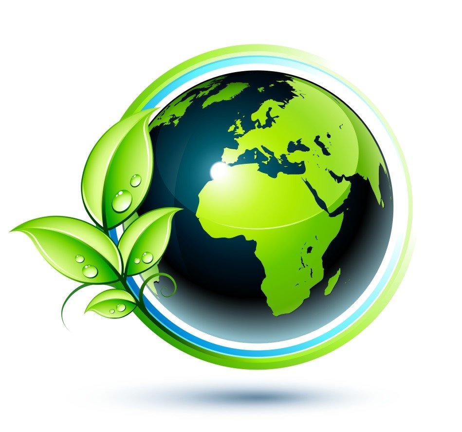 Экология рисунок